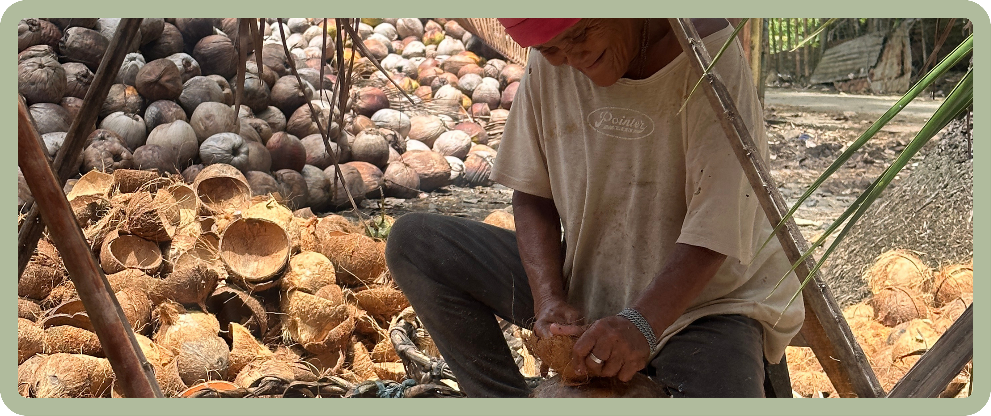Coconut shells being prepared for charcoal production