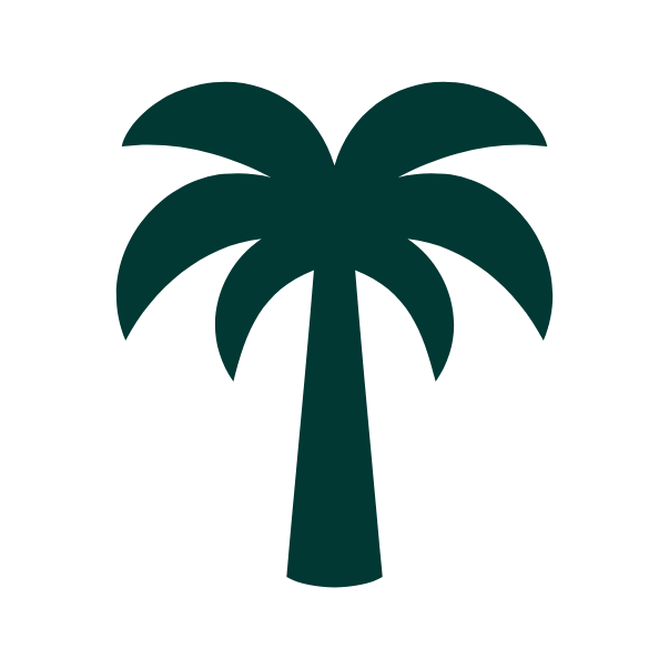 One coconut tree