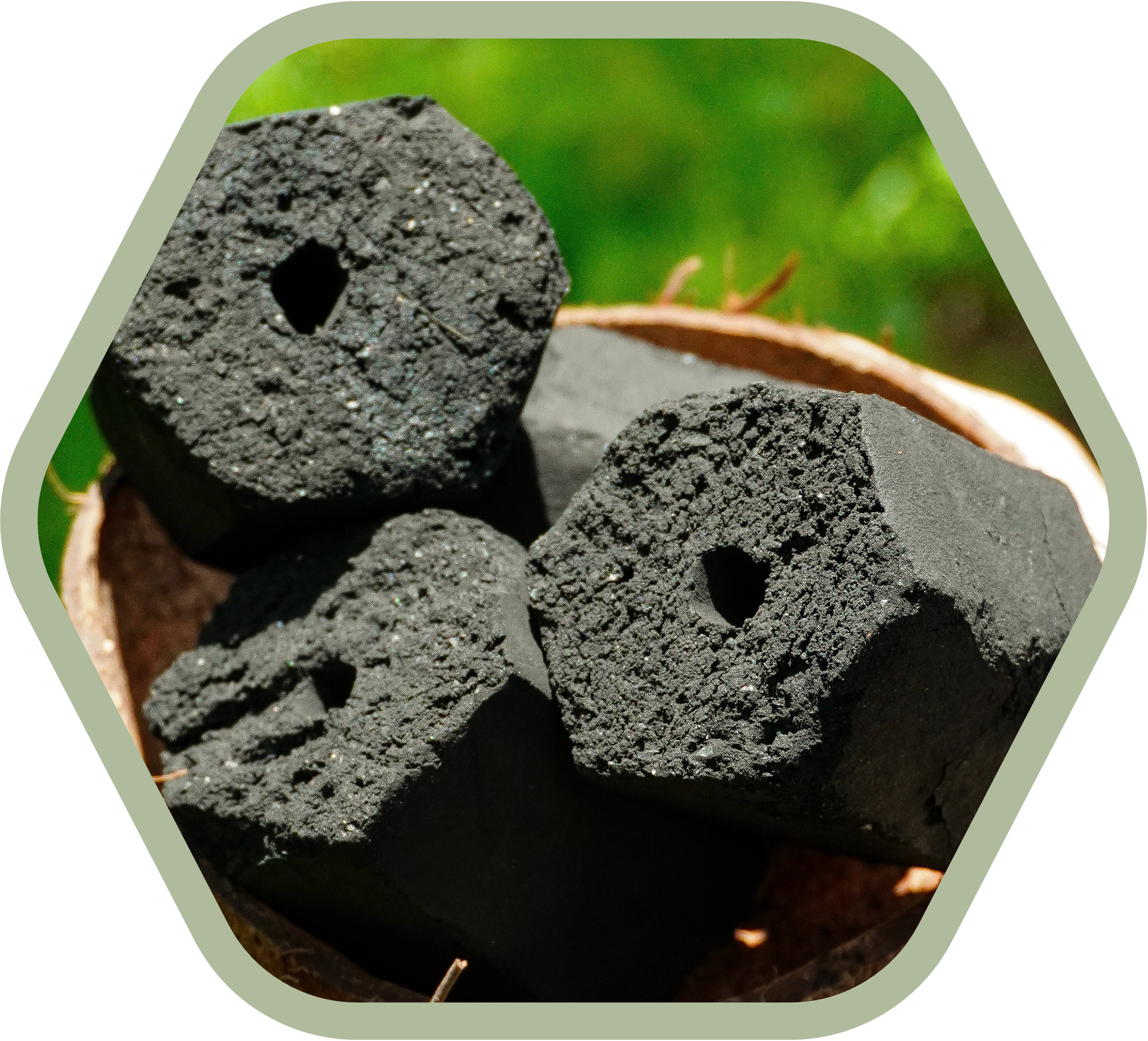 EcoUling coconut charcoal briquettes held in a coconut shell