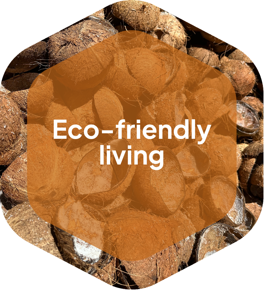 Eco-friendly living