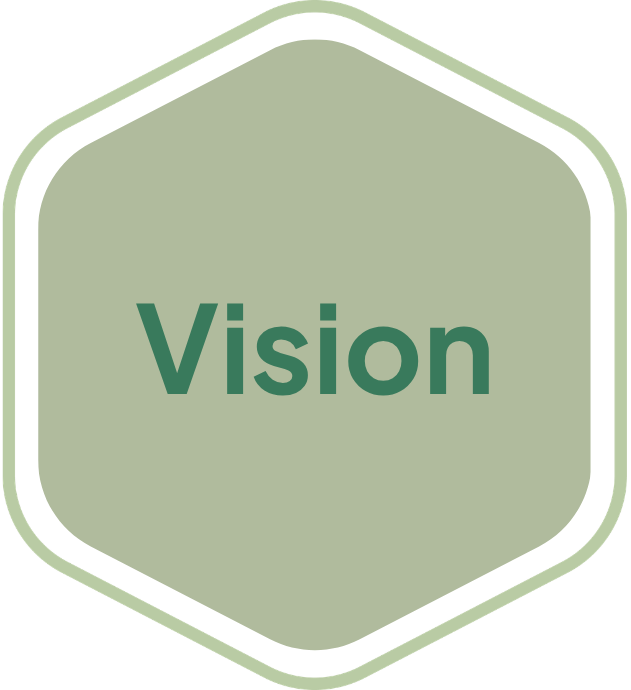 Vision